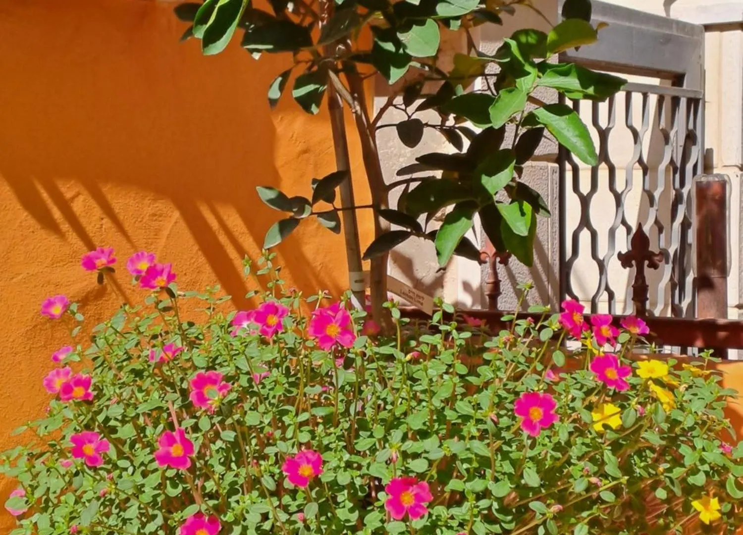 Fellini Talpiot Roof Dolce Vita Apartman Haifa