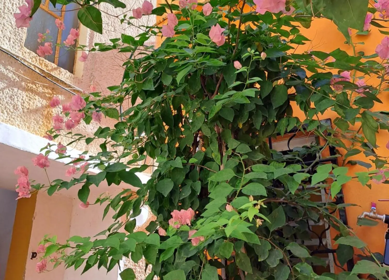 Fellini Talpiot Roof Dolce Vita Apartman Haifa
