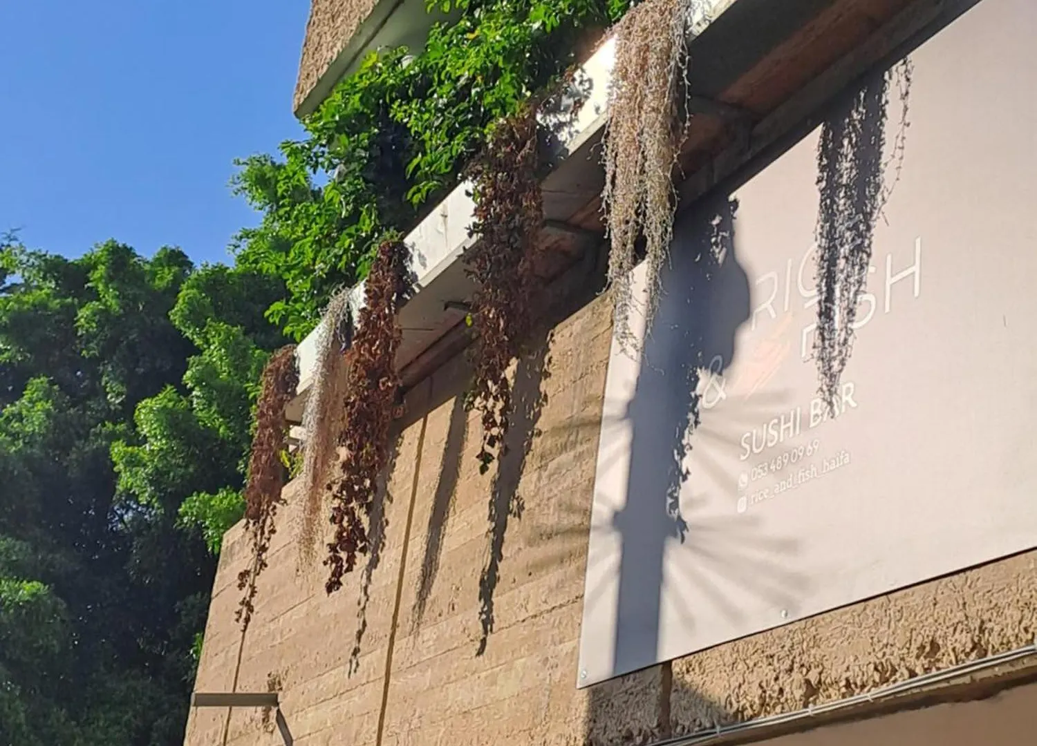 Fellini Talpiot Roof Dolce Vita Apartman Haifa