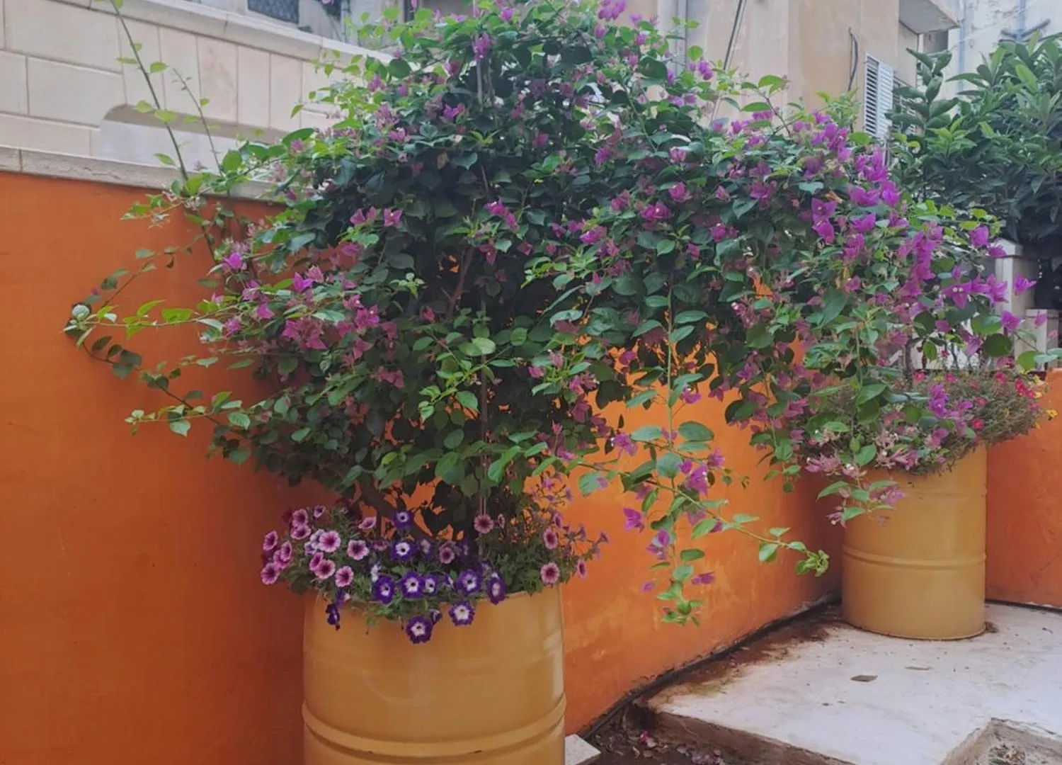 Fellini Talpiot Roof Dolce Vita Apartment Haifa Israel