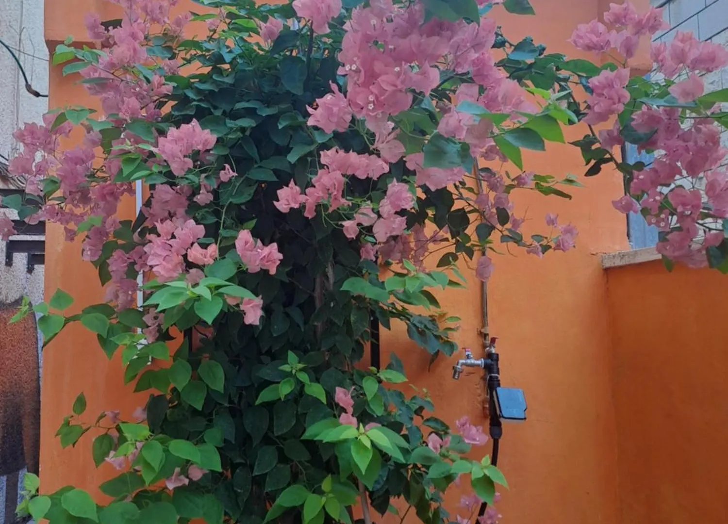 Apartament Fellini Talpiot Roof Dolce Vita Hajfa 0*,  Izrael